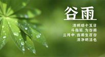 【二十四節(jié)氣灸】谷雨時(shí)節(jié)，用艾為您的健康加上一道保險(xiǎn)！