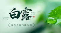 【二十四節(jié)氣灸】白露涼爽，養(yǎng)心肝脾胃、滋陰潤肺是關(guān)鍵！