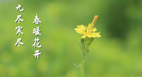 【九九養(yǎng)生】三月四日“九九日”，寒冬已過。春天養(yǎng)好身，全年不怕?。? />
                    </a>
                </div>
            </li>
            
            <li id=