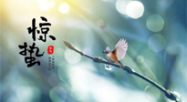 【二十四節(jié)氣灸】驚蟄節(jié)氣，艾灸喚醒抵抗力、補充陽氣的最好時機！
