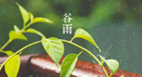 【二十四節(jié)氣灸】谷雨節(jié)氣脾土濕，艾灸降濕濁，脾旺不受邪！